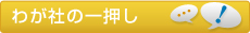 わが社の一押し
