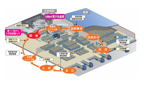 電子線照射工程フロー